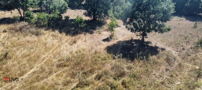 Toybelen 'de Asfalt Yola Cepheli Yatırımlık 4.250 M² Tarla! — fotoğraf 8
