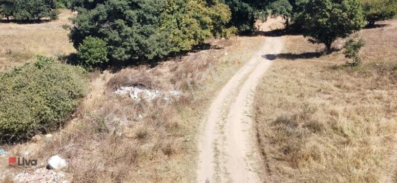 Toybelen 'de Asfalt Yola Cepheli Yatırımlık 4.250 M² Tarla! — fotoğraf 10