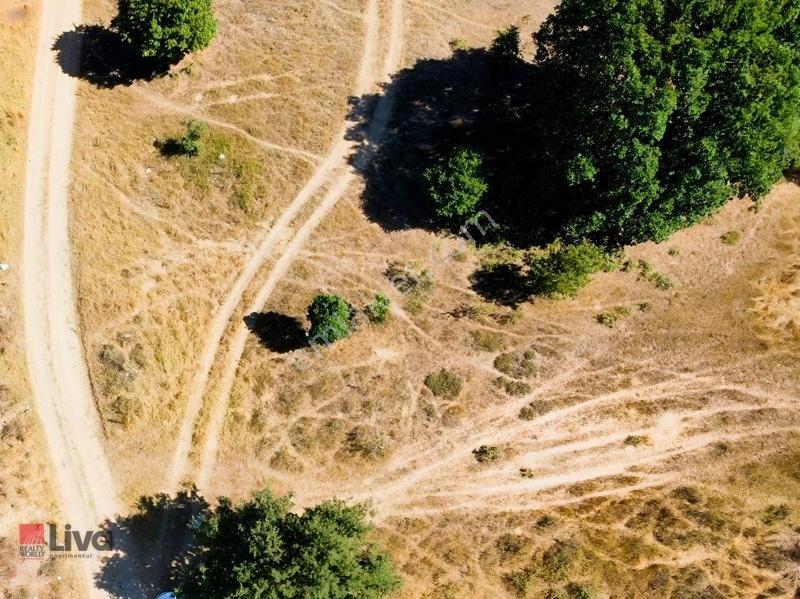 Toybelen 'de Asfalt Yola Cepheli Yatırımlık 4.250 M² Tarla! — fotoğraf 11