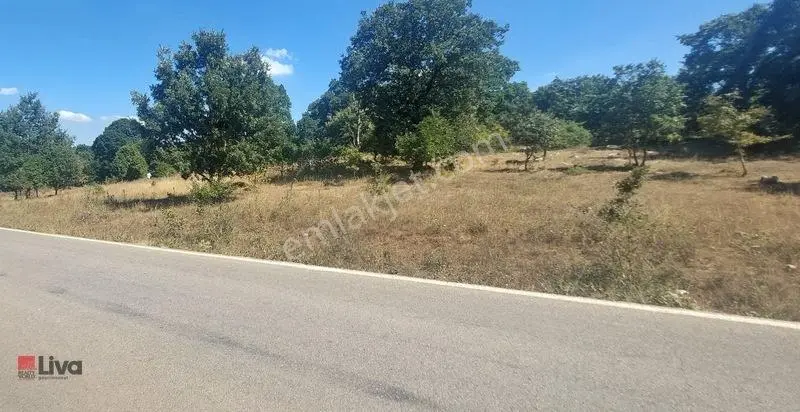 Toybelen 'de Asfalt Yola Cepheli Yatırımlık 4.250 M² Tarla! — fotoğraf 12