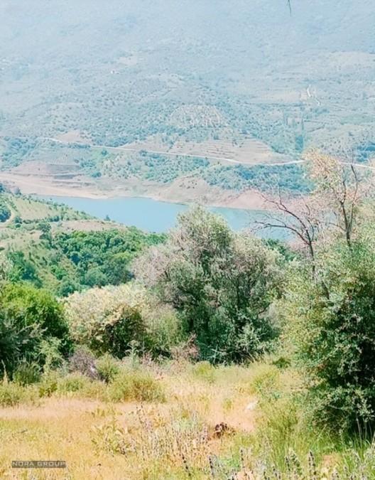 Noradan İzmir Bayındır Lutuflarda Satılık Zeytinlik — fotoğraf 5