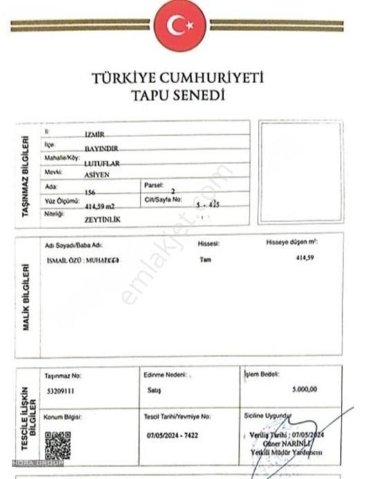 Noradan İzmir Bayındır Lutuflarda Satılık Zeytinlik — fotoğraf 6