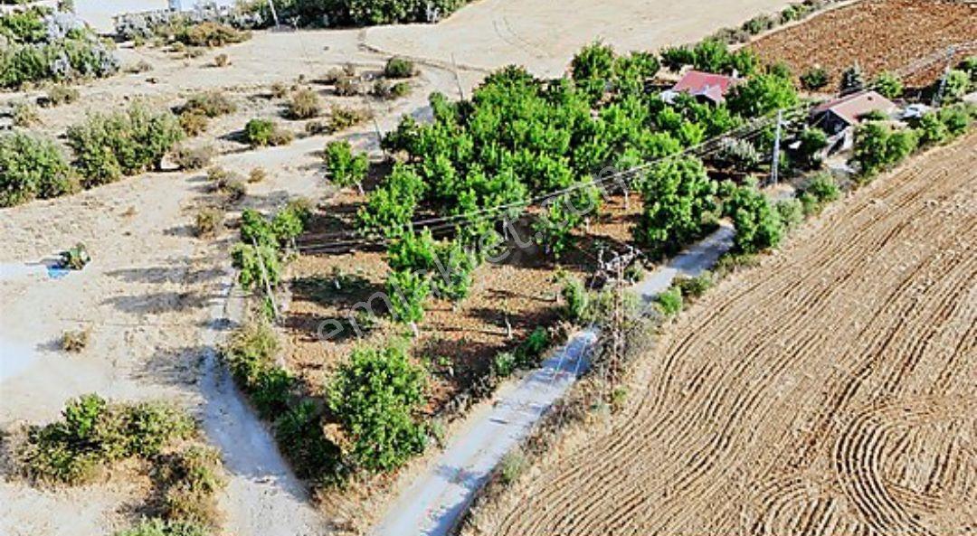 Hankendi Gözpınarında Satılık Fırsat Bahçe Ve 2+1 Toki Evi — fotoğraf 5