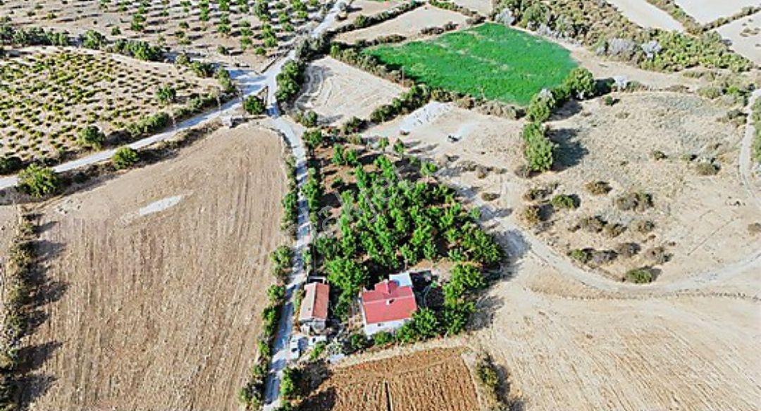 Hankendi Gözpınarında Satılık Fırsat Bahçe Ve 2+1 Toki Evi — fotoğraf 15