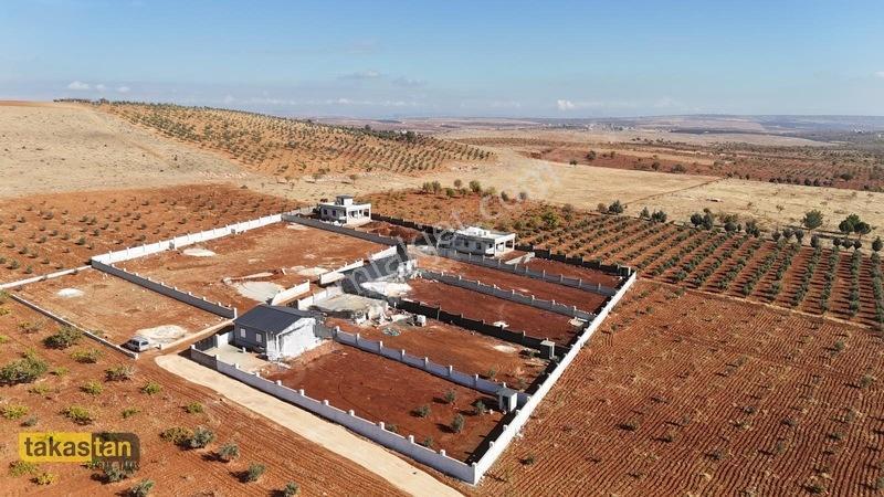 Suboğazı Etrafı Çevrili Kuyusu Mevcut Uygun Fiyatlı Fırsat Arazi