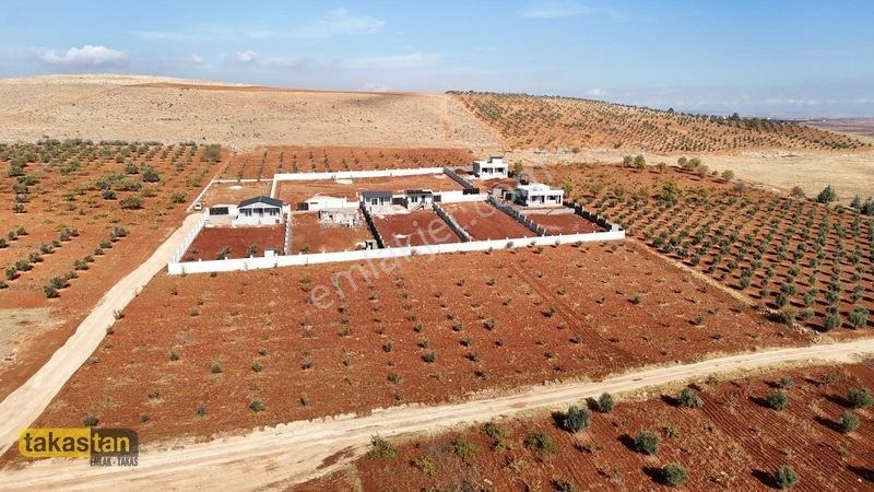 Suboğazı Etrafı Çevrili Kuyusu Mevcut Uygun Fiyatlı Fırsat Arazi — fotoğraf 4