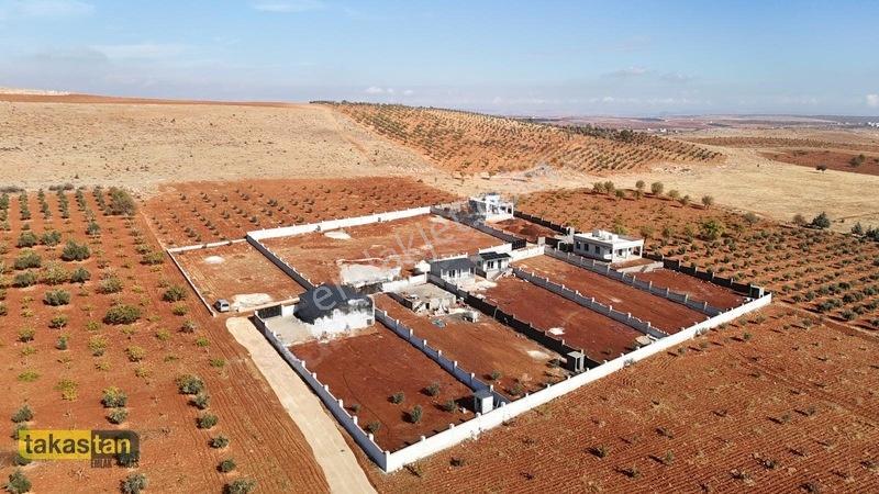Suboğazı Etrafı Çevrili Kuyusu Mevcut Uygun Fiyatlı Fırsat Arazi — fotoğraf 5