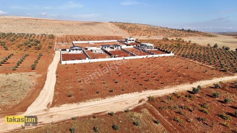 Suboğazı Etrafı Çevrili Kuyusu Mevcut Uygun Fiyatlı Fırsat Arazi — fotoğraf 8