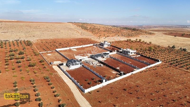 Suboğazı Etrafı Çevrili Kuyusu Mevcut Uygun Fiyatlı Fırsat Arazi — fotoğraf 10