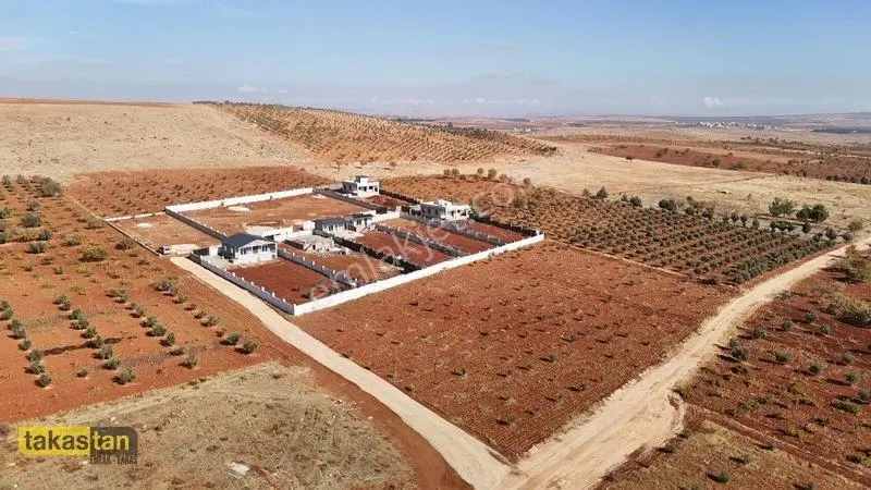 Suboğazı Etrafı Çevrili Kuyusu Mevcut Uygun Fiyatlı Fırsat Arazi — fotoğraf 12