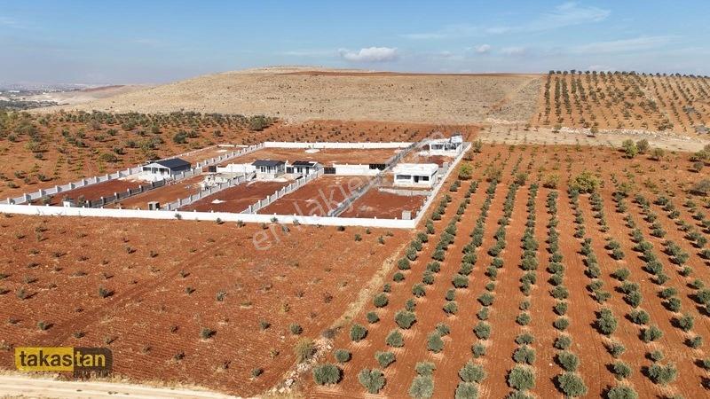 Suboğazı Etrafı Çevrili Kuyusu Mevcut Uygun Fiyatlı Fırsat Arazi — fotoğraf 16