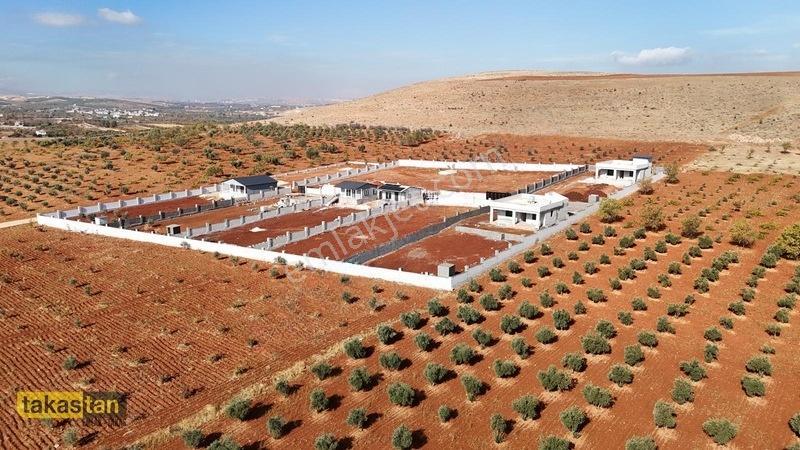 Suboğazı Etrafı Çevrili Kuyusu Mevcut Uygun Fiyatlı Fırsat Arazi — fotoğraf 21