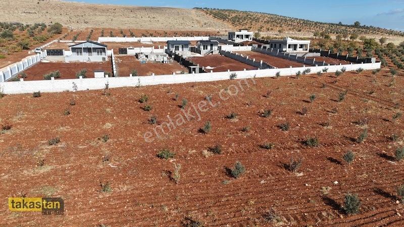 Suboğazı Etrafı Çevrili Kuyusu Mevcut Uygun Fiyatlı Fırsat Arazi — fotoğraf 22