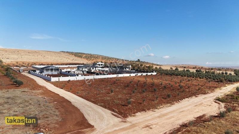 Suboğazı Etrafı Çevrili Kuyusu Mevcut Uygun Fiyatlı Fırsat Arazi — fotoğraf 24