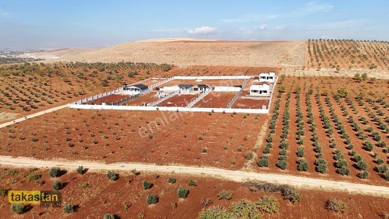 Suboğazı Etrafı Çevrili Kuyusu Mevcut Uygun Fiyatlı Fırsat Arazi — fotoğraf 27