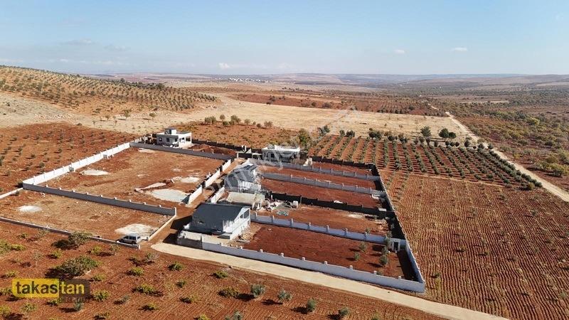 Suboğazı Etrafı Çevrili Kuyusu Mevcut Uygun Fiyatlı Fırsat Arazi — fotoğraf 28