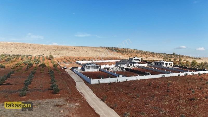 Suboğazı Etrafı Çevrili Kuyusu Mevcut Uygun Fiyatlı Fırsat Arazi — fotoğraf 31