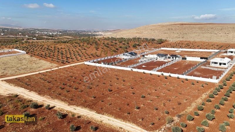 Suboğazı Etrafı Çevrili Kuyusu Mevcut Uygun Fiyatlı Fırsat Arazi — fotoğraf 32