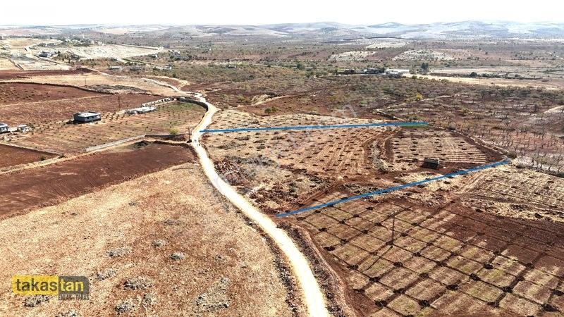 Tuğlu Kozlu Yazı Arası Suboğazı Sınırı Resmi Yola Cepheli Arazi