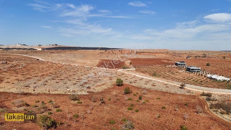 Tuğlu Kozlu Yazı Arası Suboğazı Sınırı Resmi Yola Cepheli Arazi — fotoğraf 2