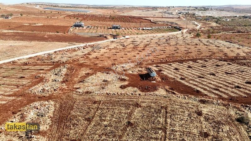 Tuğlu Kozlu Yazı Arası Suboğazı Sınırı Resmi Yola Cepheli Arazi — fotoğraf 3