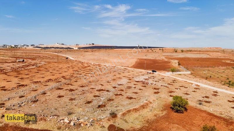 Tuğlu Kozlu Yazı Arası Suboğazı Sınırı Resmi Yola Cepheli Arazi — fotoğraf 8