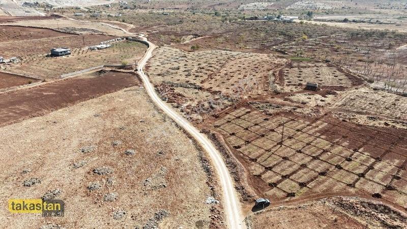 Tuğlu Kozlu Yazı Arası Suboğazı Sınırı Resmi Yola Cepheli Arazi — fotoğraf 9