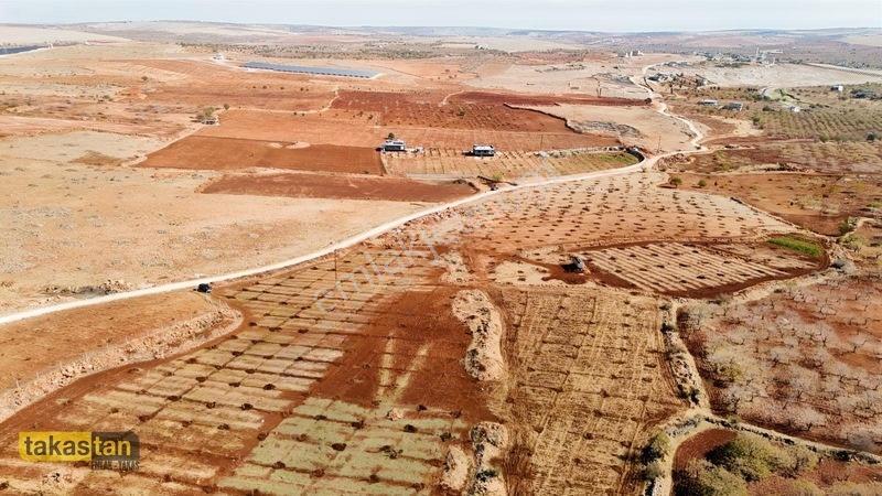 Tuğlu Kozlu Yazı Arası Suboğazı Sınırı Resmi Yola Cepheli Arazi — fotoğraf 10