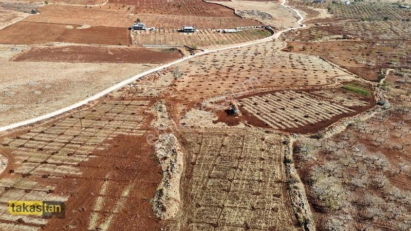 Tuğlu Kozlu Yazı Arası Suboğazı Sınırı Resmi Yola Cepheli Arazi — fotoğraf 12