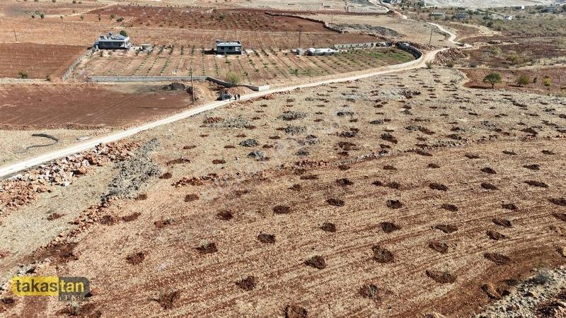Tuğlu Kozlu Yazı Arası Suboğazı Sınırı Resmi Yola Cepheli Arazi — fotoğraf 13