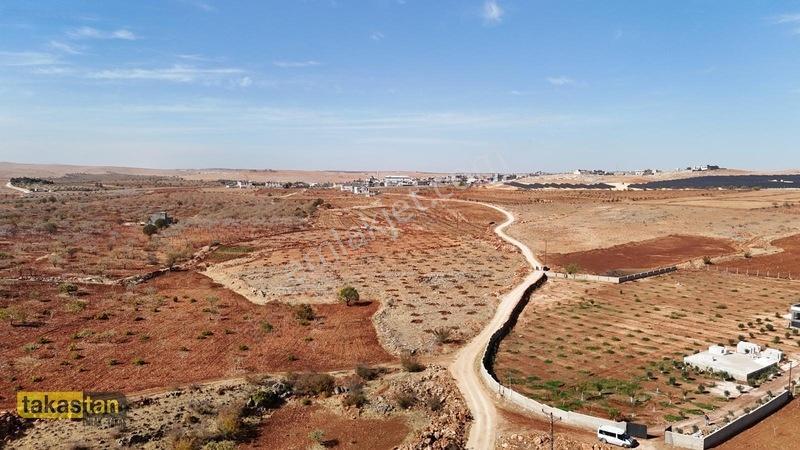 Tuğlu Kozlu Yazı Arası Suboğazı Sınırı Resmi Yola Cepheli Arazi — fotoğraf 16