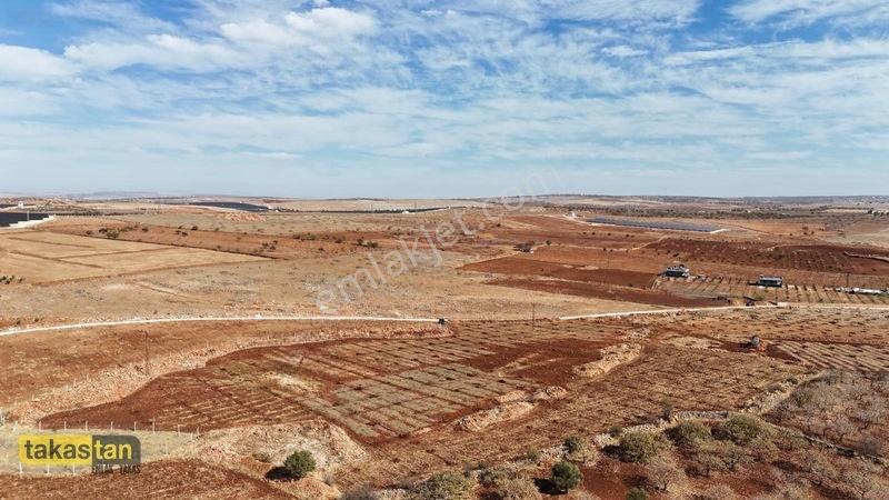 Tuğlu Kozlu Yazı Arası Suboğazı Sınırı Resmi Yola Cepheli Arazi — fotoğraf 17