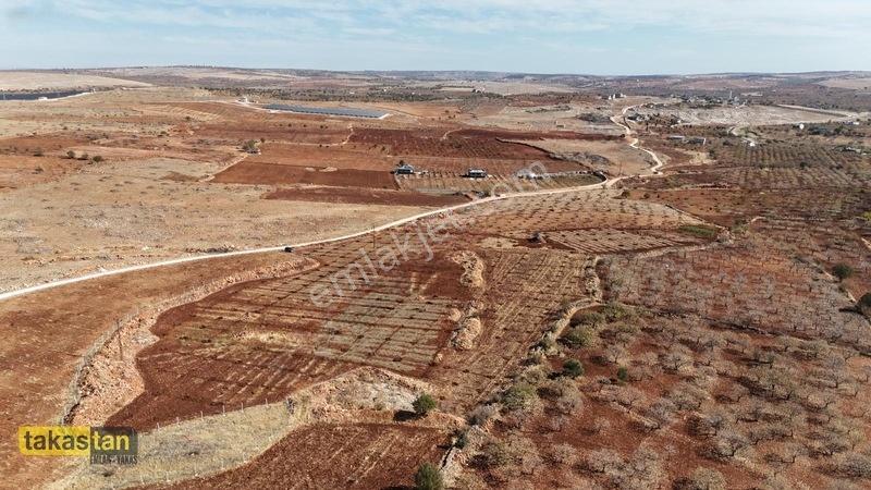 Tuğlu Kozlu Yazı Arası Suboğazı Sınırı Resmi Yola Cepheli Arazi — fotoğraf 18