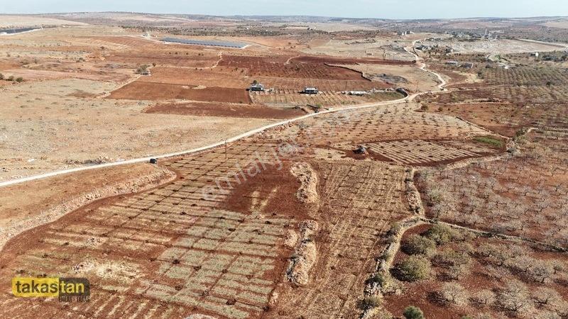 Tuğlu Kozlu Yazı Arası Suboğazı Sınırı Resmi Yola Cepheli Arazi — fotoğraf 20