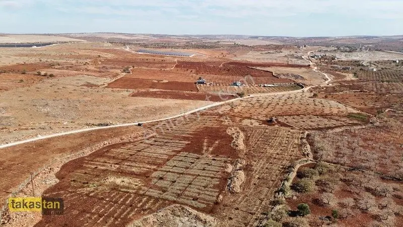 Tuğlu Kozlu Yazı Arası Suboğazı Sınırı Resmi Yola Cepheli Arazi — fotoğraf 21