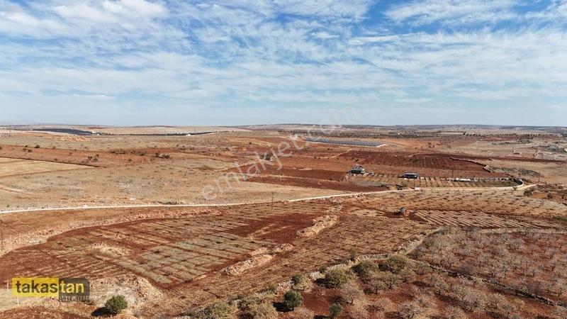 Tuğlu Kozlu Yazı Arası Suboğazı Sınırı Resmi Yola Cepheli Arazi — fotoğraf 23
