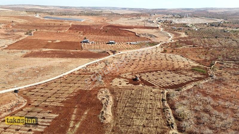 Tuğlu Kozlu Yazı Arası Suboğazı Sınırı Resmi Yola Cepheli Arazi — fotoğraf 24