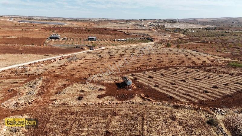 Tuğlu Kozlu Yazı Arası Suboğazı Sınırı Resmi Yola Cepheli Arazi — fotoğraf 25