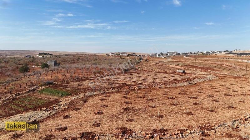 Tuğlu Kozlu Yazı Arası Suboğazı Sınırı Resmi Yola Cepheli Arazi — fotoğraf 26