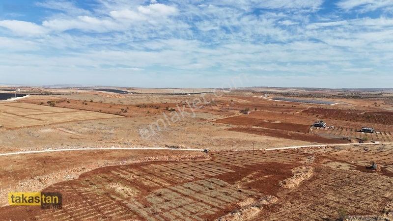 Tuğlu Kozlu Yazı Arası Suboğazı Sınırı Resmi Yola Cepheli Arazi — fotoğraf 27