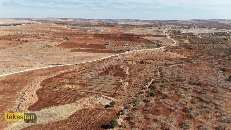 Tuğlu Kozlu Yazı Arası Suboğazı Sınırı Resmi Yola Cepheli Arazi — fotoğraf 28