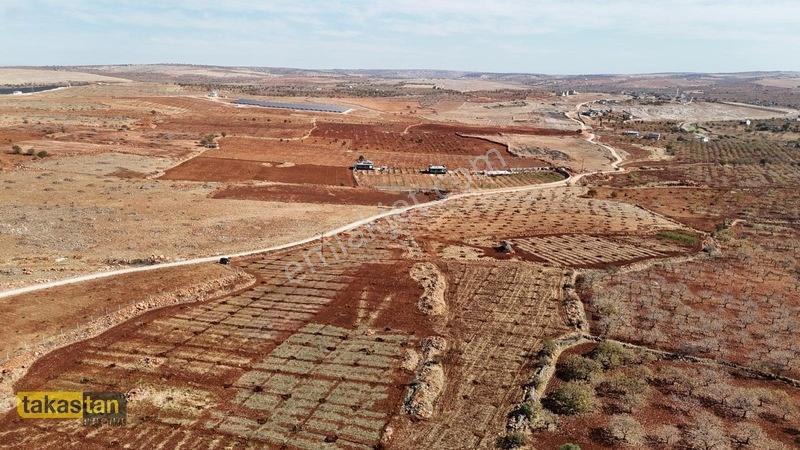 Tuğlu Kozlu Yazı Arası Suboğazı Sınırı Resmi Yola Cepheli Arazi — fotoğraf 29