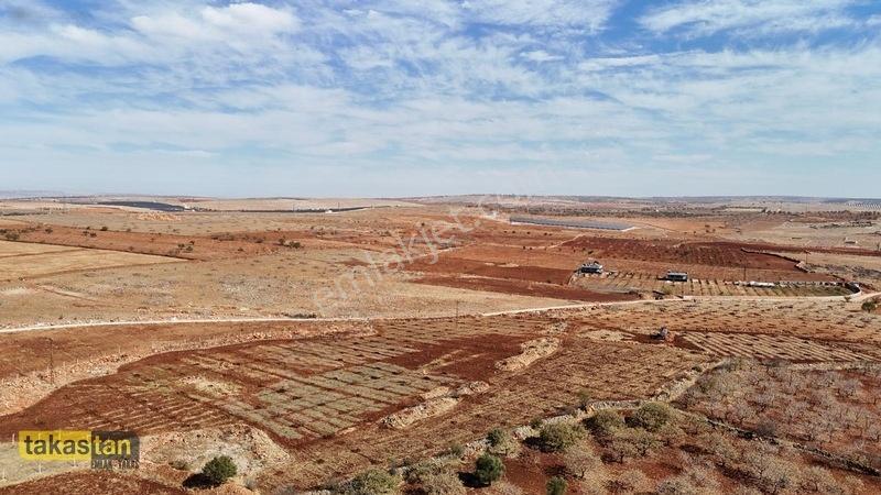 Tuğlu Kozlu Yazı Arası Suboğazı Sınırı Resmi Yola Cepheli Arazi — fotoğraf 30