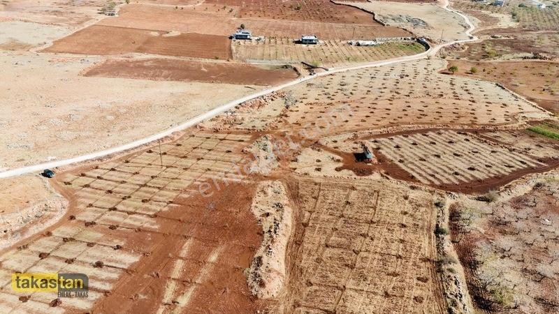 Tuğlu Kozlu Yazı Arası Suboğazı Sınırı Resmi Yola Cepheli Arazi — fotoğraf 32