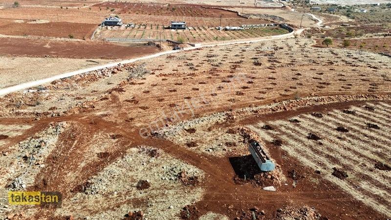 Tuğlu Kozlu Yazı Arası Suboğazı Sınırı Resmi Yola Cepheli Arazi — fotoğraf 33