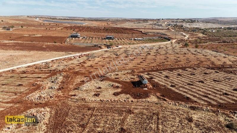 Tuğlu Kozlu Yazı Arası Suboğazı Sınırı Resmi Yola Cepheli Arazi — fotoğraf 34