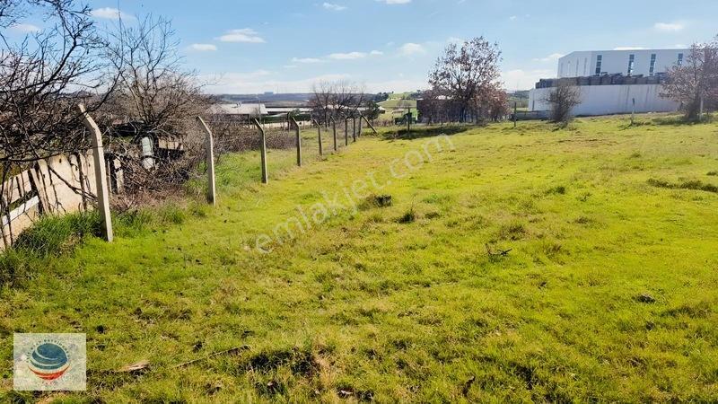 Tuzla Tepeören'De Satılık Villa İmarlı 1.530M² Arsa