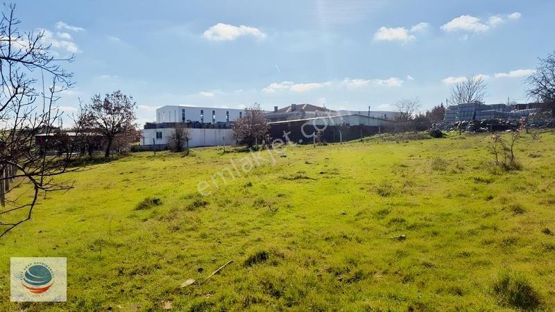 Tuzla Tepeören'de Satılık Villa İmarlı 1.530m² Arsa — fotoğraf 16