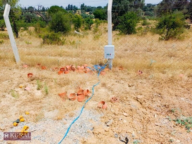 İzmir Menderes Görecede Koperatif Tapulu Merkeze Yakın Su Bahçe — fotoğraf 9
