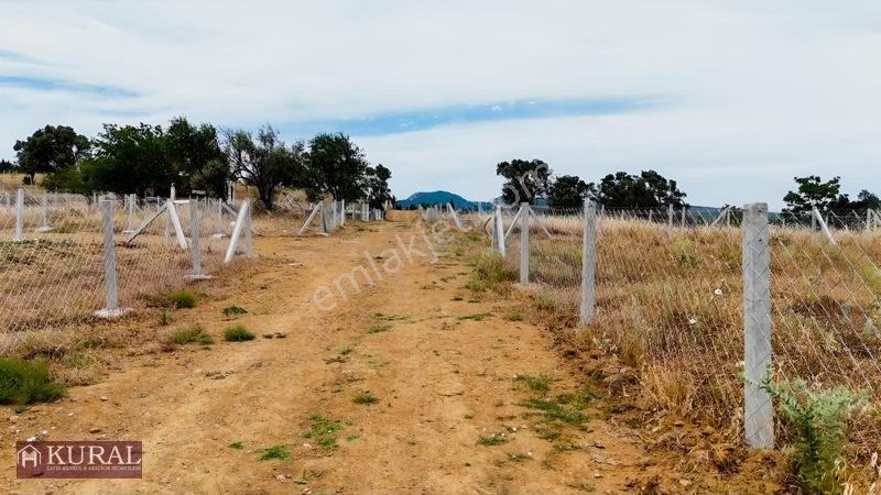 İzmir Menderes Görecede Koperatif Tapulu Merkeze Yakın Su Bahçe — fotoğraf 13